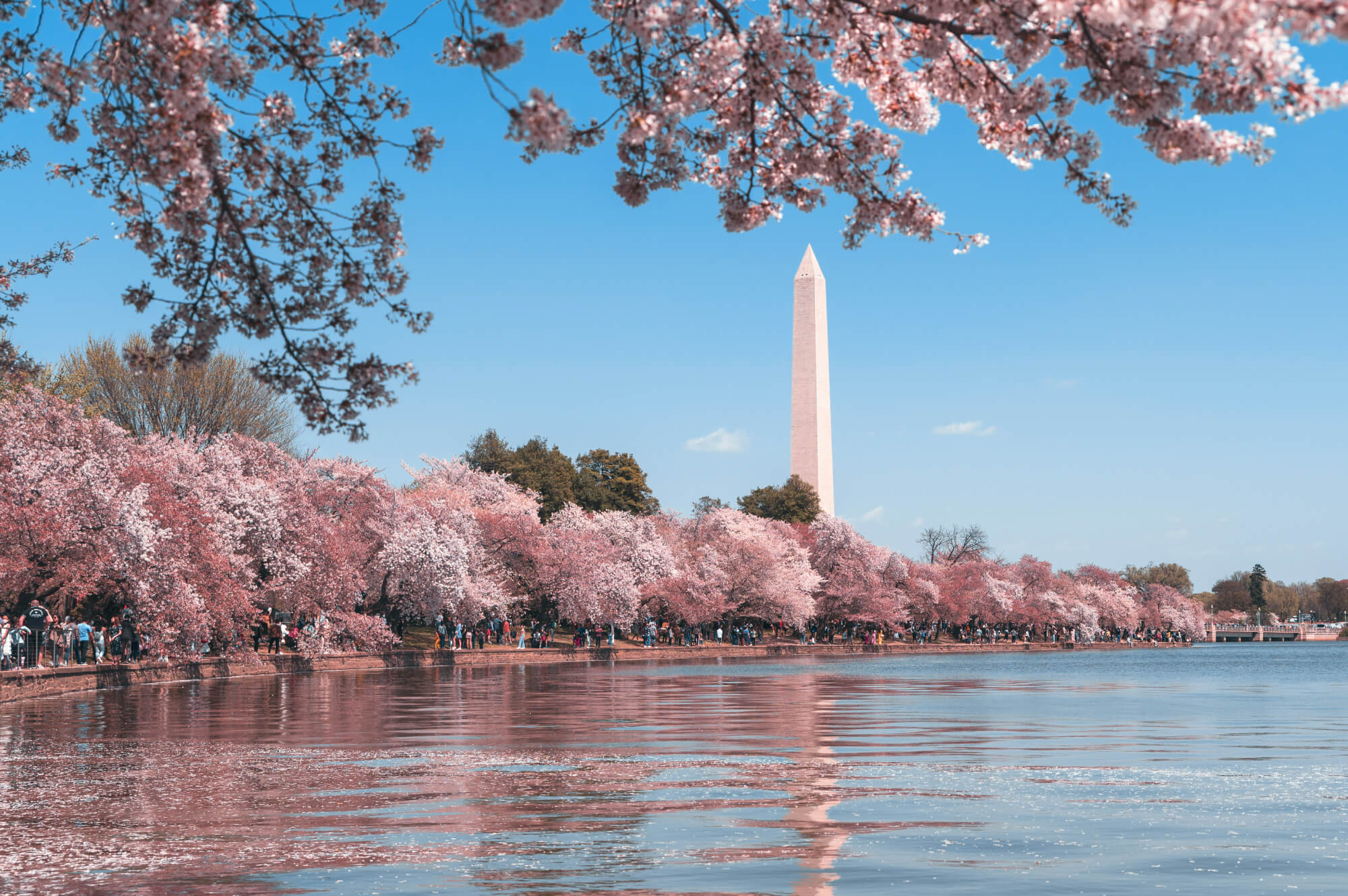 Washington DC Set to Host Network's 16th Annual General Meeting